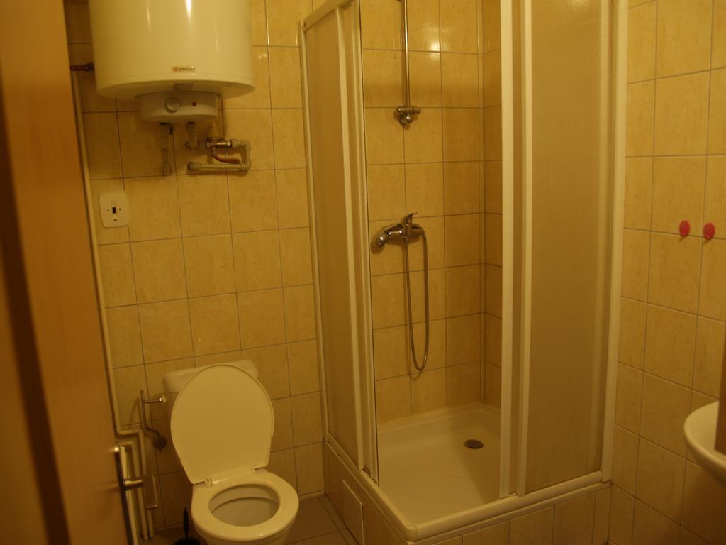 Pension u Vlčků Hracholusky Chambre photo